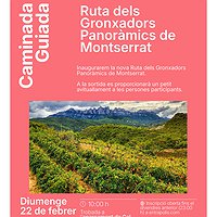 Caminada guiada 'Ruta dels gronxadors panoràmics de Montserrat'