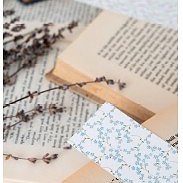 Presentació del llibre 'Àngels de llum'