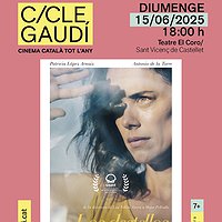 Cicle Gaudí: 