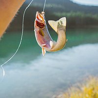 Concurs de Pesca