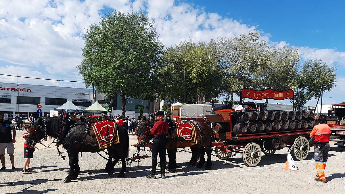 La Festa de Sant Antoni Abat torna diumenge als carrers de Sant Vicenç
